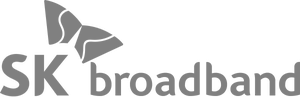 SK broadband